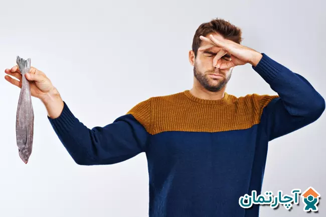 از بین بردن بوی ماهی در منزل